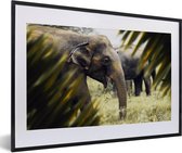 Fotolijst incl. Poster - Olifant - Natuur - Bladeren - 60x40 cm - Posterlijst