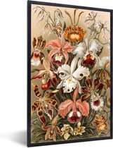 Fotolijst incl. Poster - Kamer decoratie aesthetic - Orchidee - Ernst Haeckel - Oude meesters - Kunst - Bloemen - Kamer decoratie tieners - Aesthetic room decor - 20x30 cm - Posterlijst