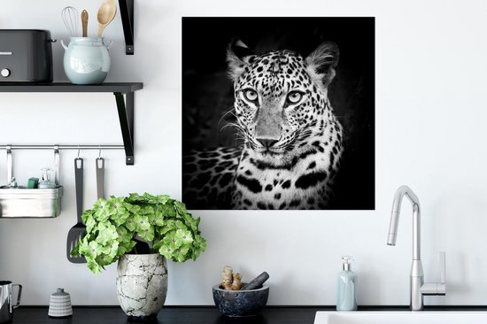 Affiche Panthère - Zwart - Wit - 50x50 cm