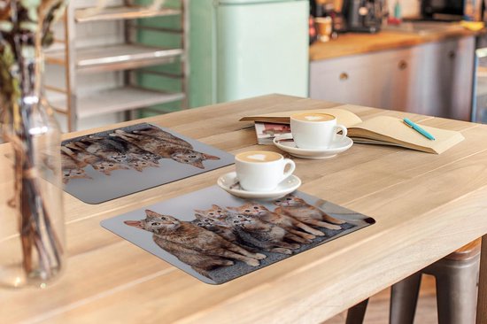 Placemat - Placemats kunststof - Kat - Kittens - Vacht - 45x30 cm - 6 stuks - Hittebestendig - Anti-Slip - Onderlegger - Afneembaar