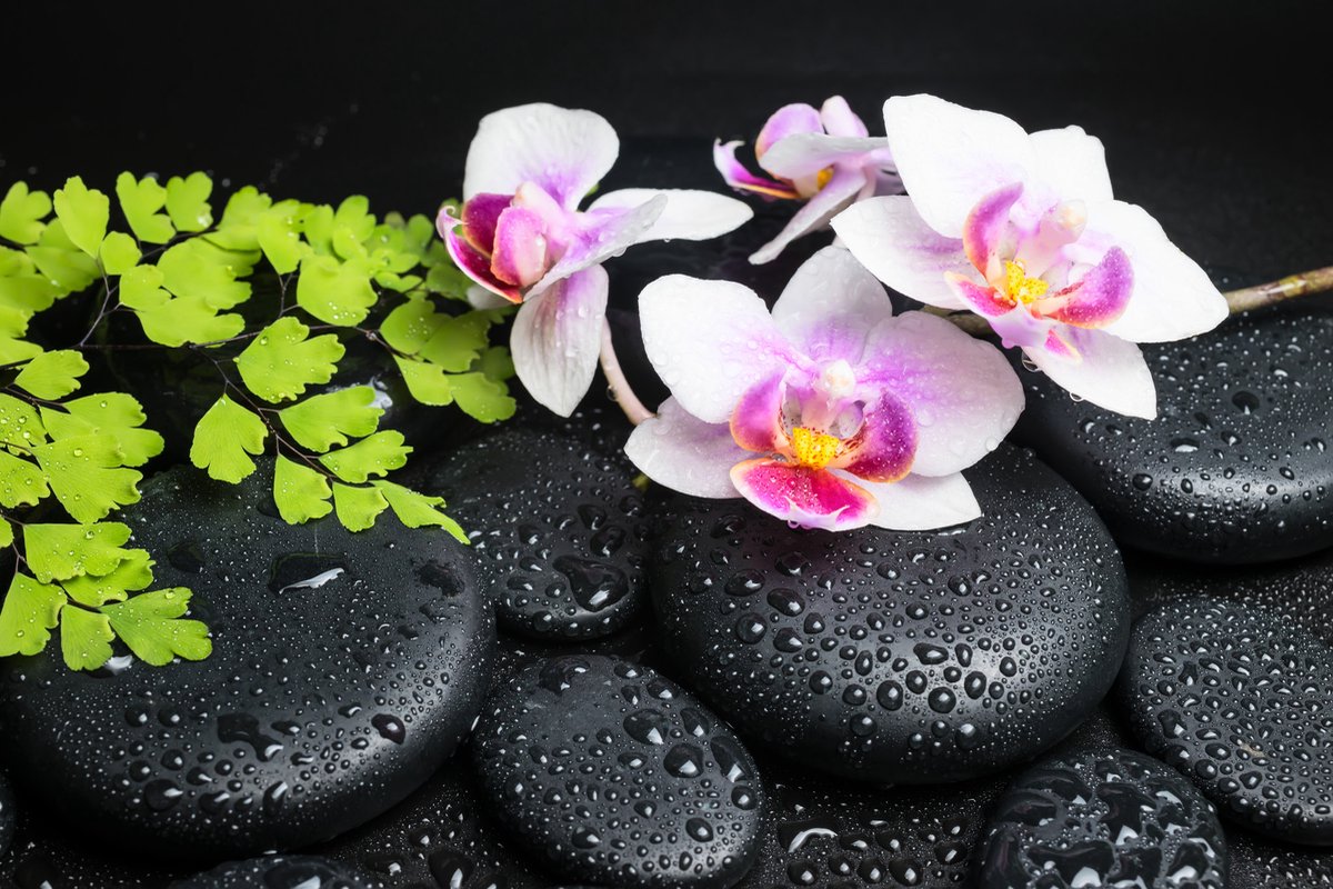 karo-art Schilderij - Zen stenen met orchidee, inspiratie , Multikleur , 2 maten , Wanddecoratie