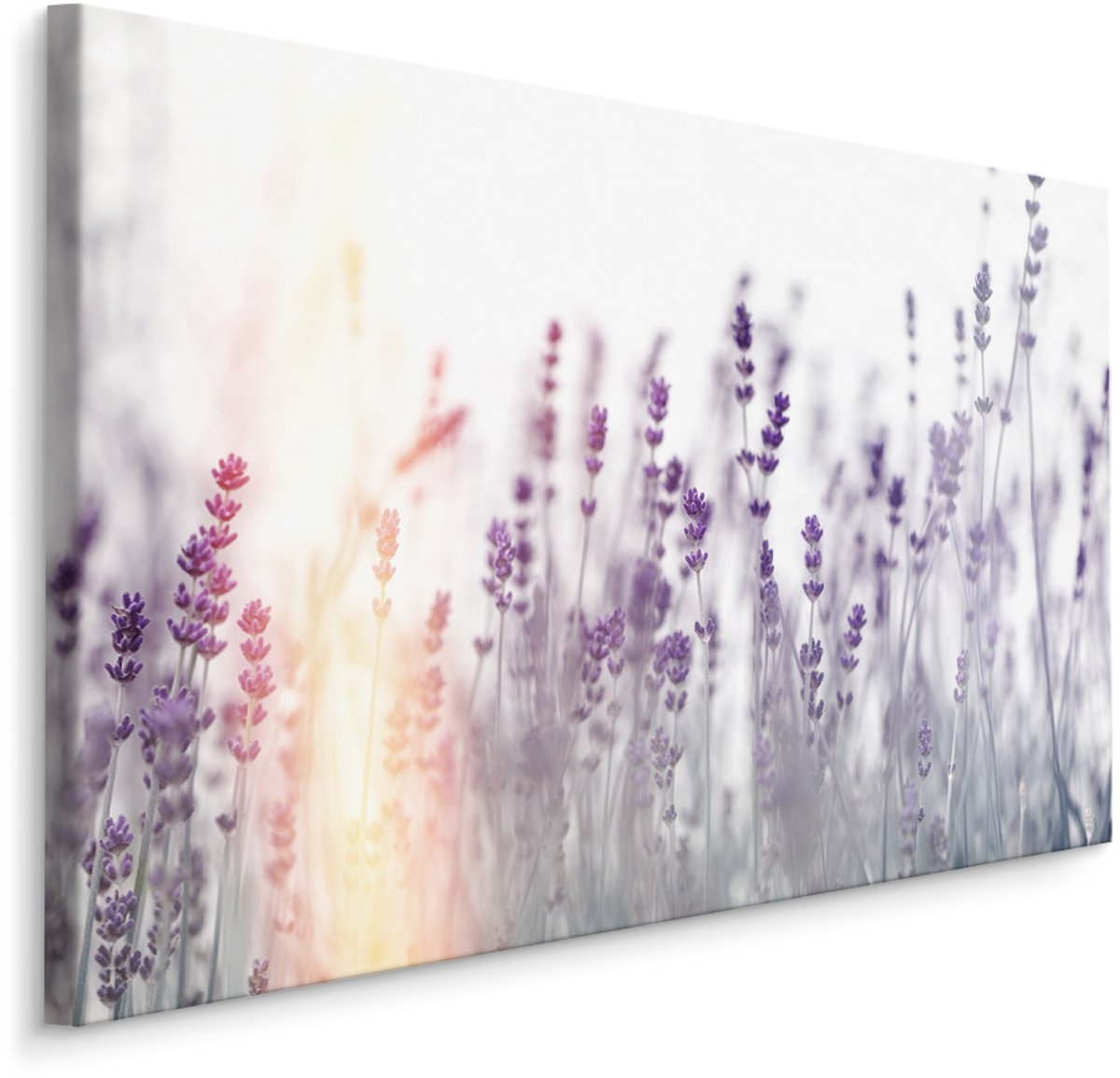 karo-art Schilderij - Lavendel in zonsondergang , Wanddecoratie , Premium print Multikleur