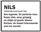 Nils betekenis Grappig Fotolijst met glas 40 x 50 cm - Cadeau - Man Vrouw - Kado - Grappige foto - Poster voor verjaardag - Canvas - Schilderij - incl ophangsysteem