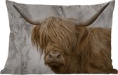 Buitenkussens - Tuin - Schotse hooglander - Marmer - Dieren - 50x30 cm
