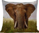 Buitenkussen - Afrikaanse olifant vooraanzicht - 45x45 cm - Weerbestendig