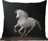 Buitenkussens - Tuin - Witte paard galopperend op zwarte achtergrond - 40x40 cm