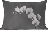 Buitenkussens - Orchidee - Bloemen - Plant - Wit - Paars - 60x40 cm - Weerbestendig