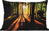 Buitenkussens - Zon - Bomen - Bos - Landschap - Natuur - 60x40 cm - Weerbestendig