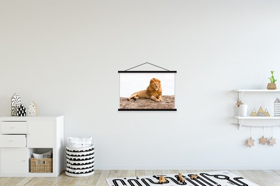 Affiche textielposter Lion couché 60x40 cm
