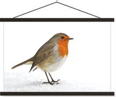 Affiche textielposter Robin dans la neige 90x60 cm