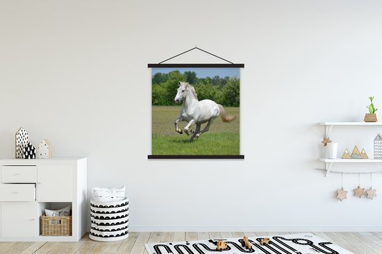 Porte-affiche avec affiche - Affiche scolaire - Paarden - Nature - Wit - 90x90 cm - Lattes noires