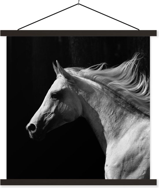 Porte-affiche avec affiche - Affiche scolaire - Paarden - Animaux de la ferme - Crinière - 40x40 cm - Lattes noires