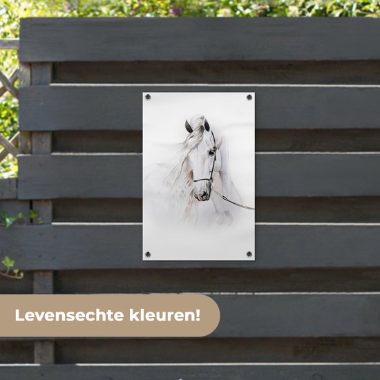 Décoration de jardin Cheval - Aquarelle - Animaux - Wit - 40x60 cm - Affiche jardin - Toile jardin - Affiche extérieur