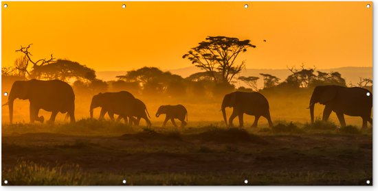 Schuttingposter Kudde olifanten bij zonsopkomst - 200x100 cm - Tuindoek