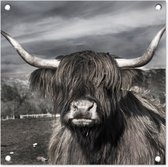 Tuinposters Schotse hooglander - Portret - Zwart - Wit - Dier - Wild - Natuur - 50x50 cm - Tuindoek - Buitenposter