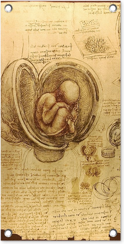 Tuinposter Baby in the womb - Leonardo da Vinci - 30x60 cm - Tuindoek - Buitenposter