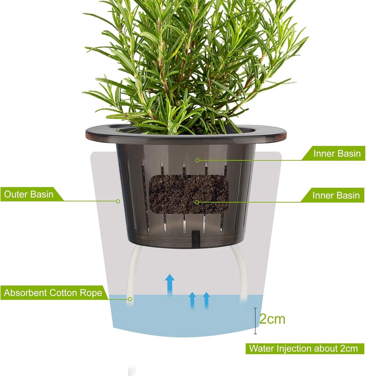 Kruidenpotten met Irrigatiesysteem - Kruidenpotten - Ademend - Zelfwaterende Bloempot voor Kruiden - Voor Binnen, Keuken en Buiten Planten - 10 Stuks — cadeau in Cadeau-ideeën - foto 7