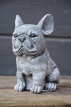 Franse Bulldog, Zittend, betonnen (tuin)beeld, Ilse's
