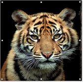 Affiche de jardin petit tigre de Sumatra 100x200 cm - Photo sur affiche de jardin / Peintures pour l'extérieur (décoration de jardin)
