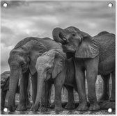 Tuinposters Olifant - Dieren - Water - Zwart wit - 50x50 cm - Tuindoek - Buitenposter