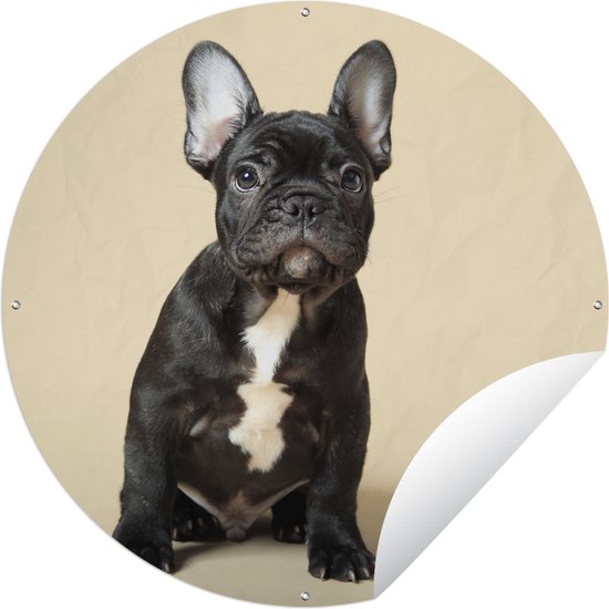 Tuincirkel Franse Bulldog - Zwart - Beige - 60x60 cm - Ronde Tuinposter - Buiten