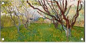 Tuinposter Bloeiende boomgaard - Vincent van Gogh - 60x30 cm - Tuindoek - Buitenposter