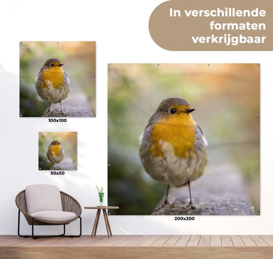 Tuinposter vogels - Roodborstje - Portret - Natuur - Tak - Tuindecoratie - Schuttingdoek - Schutting decoratie - Tuin - Tuinschilderij voor buiten - 50x50 cm - Tuindoek - Tuinposters buiten