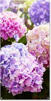 Wanddecoratie buiten Bloemen - Hortensia - Roze - Bladeren - Zon - 80x160 cm - Tuindoek - Buitenposter