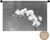 Wandkleed - Wanddoek - Orchidee - Bloemen - Plant - Wit - Paars - 60x40 cm - Wandtapijt