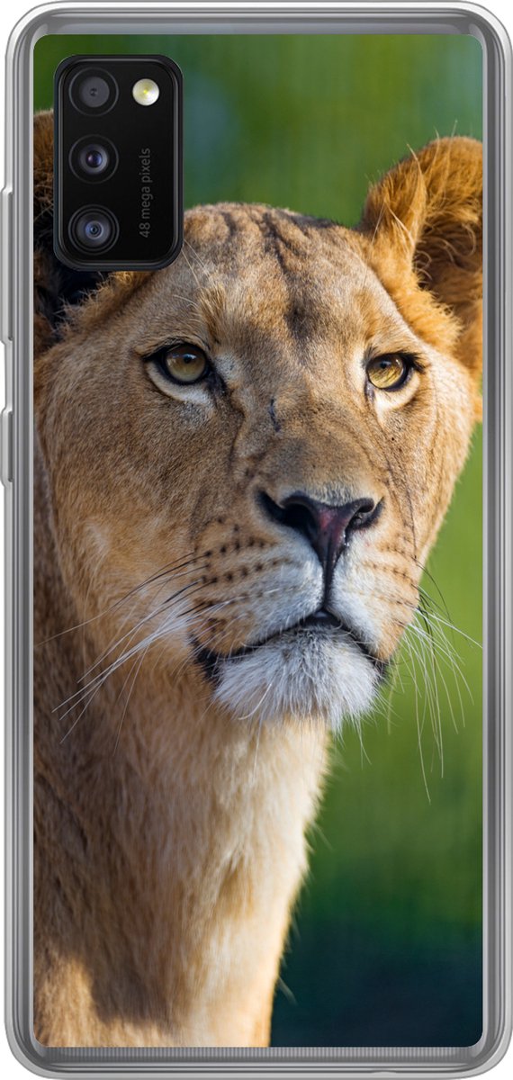 Telefoonhoesje Geschikt voor Samsung Galaxy A41 hoesje - Portret - Leeuw - Wild - Siliconen Telefoonhoesje Telefoonhoesje