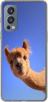 Geschikt voor OnePlus Nord 2 5G hoesje - Alpaca - Bruin - Blauw - Siliconen Telefoonhoesje