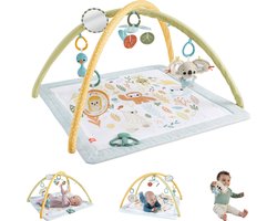 Fisher-Price Simply Senses gym voor baby's - Babygym