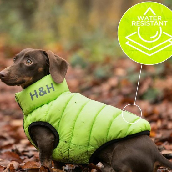 Foto: Hugo hudson puffer jacket hondenkleding hondenjas navy neon green maat m50