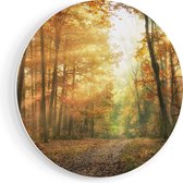 Artaza Forex Muurcirkel Herfstbos Met Zonneschijn - 80x80 cm - Groot - Wandcirkel - Rond Schilderij - Wanddecoratie Cirkel