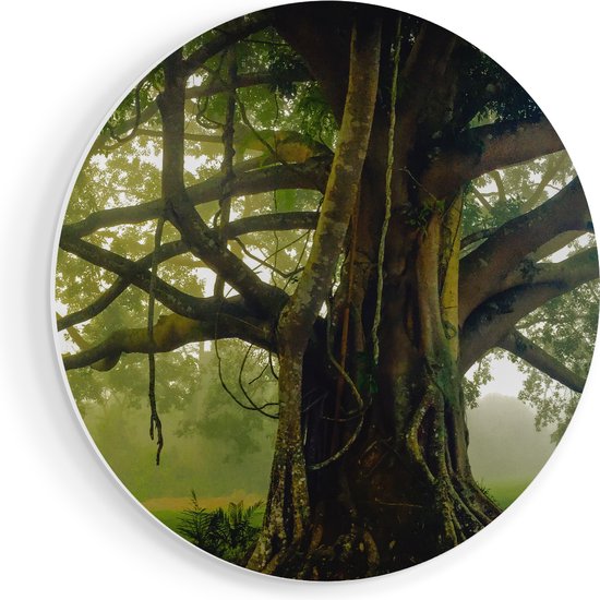 Artaza Forex Muurcirkel Grote Levensboom Met Veel Takken - 40x40 cm - Klein - Wandcirkel - Rond Schilderij - Wanddecoratie Cirkel