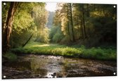 Tuinposter – Bos - Natuur - Water - Beekje - Stenen - Bomen - 120x80 cm Foto op Tuinposter (wanddecoratie voor buiten en binnen)