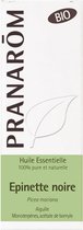 Pranarôm Essentiële Olie van de Zwarte Spar (Picea Mariana) Biologisch 10 ml
