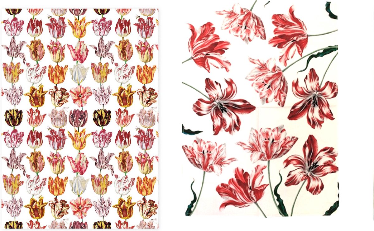 Set van 2 theedoeken - kunst collectie - Maria Sibylla Merian, Drie Tulpen & Jacob Marrel, print van Tulpen - 100 % katoen 50 x 70 cm by supervintage