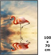 Allernieuwste.nl® Canvas Schilderij * Rose Flamingo in het Water * - Moderne Kunst aan je Muur - Groot schilderij - Kleur - 70 x 100 cm
