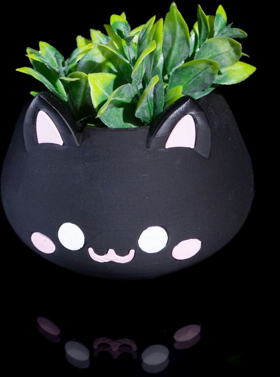 Schattige Poes Plantenbakje - 2 Stuks | Bloemenbakje In Cute Poes Vorm | Planten en Bloemetjes Vaas | Decoratie Vaas | Cute Cat Design | 3D Print