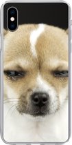 Geschikt voor iPhone Xs hoesje - Hond - Huisdieren - Portret - Siliconen Telefoonhoesje