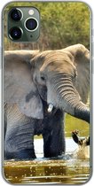 Geschikt voor iPhone 11 Pro Max hoesje - Olifant - Water - Dieren - Natuur - Siliconen Telefoonhoesje