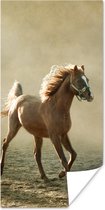 Poster Paard - Zand - Mist - 20x40 cm