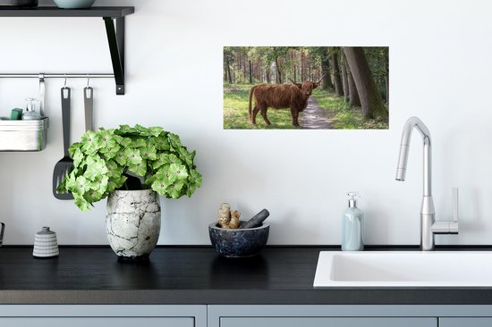 Affiche Highlander écossais - Chemin - Arbre - 40x20 cm