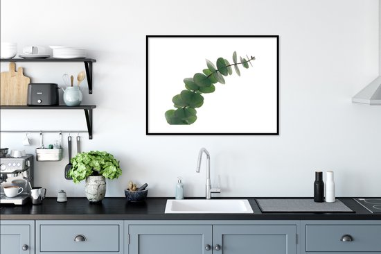 Photo encadrée - Cadre photo feuilles d'eucalyptus vert noir avec passe-partout blanc 80x60 cm - Affiche encadrée (Décoration murale salon / chambre)