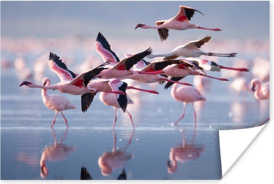 Poster - Fotolijst - Flamingo - Zee - Water - Vogel - Tropical - Frame - 180x120 cm - Poster met lijst - Posterlijst - Poster flamingo - Poster kader - Muurdecoratie
