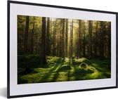 Fotolijst incl. Poster - Bomen - Bos - Mos - Planten - Zon - Natuur - 60x40 cm - Posterlijst