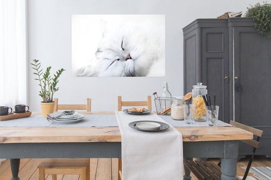 Chat Witte sur fond blanc de près de 120x80 cm