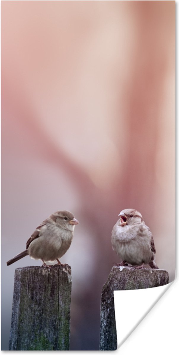 Poster Vogels - Mussen - Paaltjes - Hout - 40x80 cm