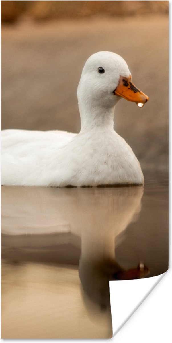 Poster Eend - Vogel - Water - Wit - 80x160 cm